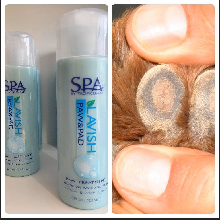 Kem phục hồi đệm bàn chân bị khô,nứt , tổn thương dành cho chó và mèo Tropiclean Spa Paw&amp;Pad