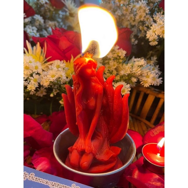 Nến Hồ Ly Thái Lan