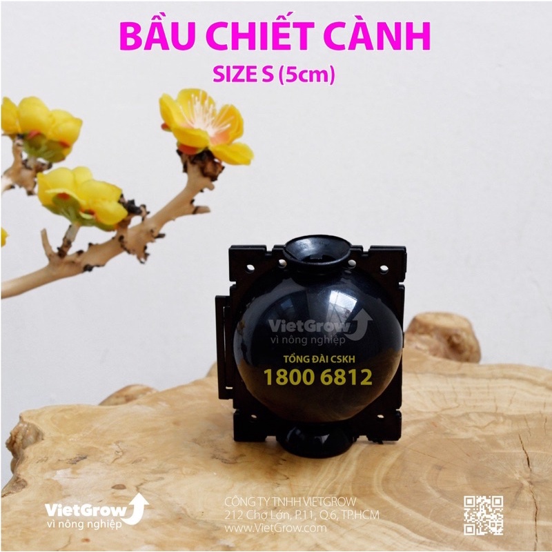 Bầu chiết cành cây tiện dụng, đủ size chính hãng