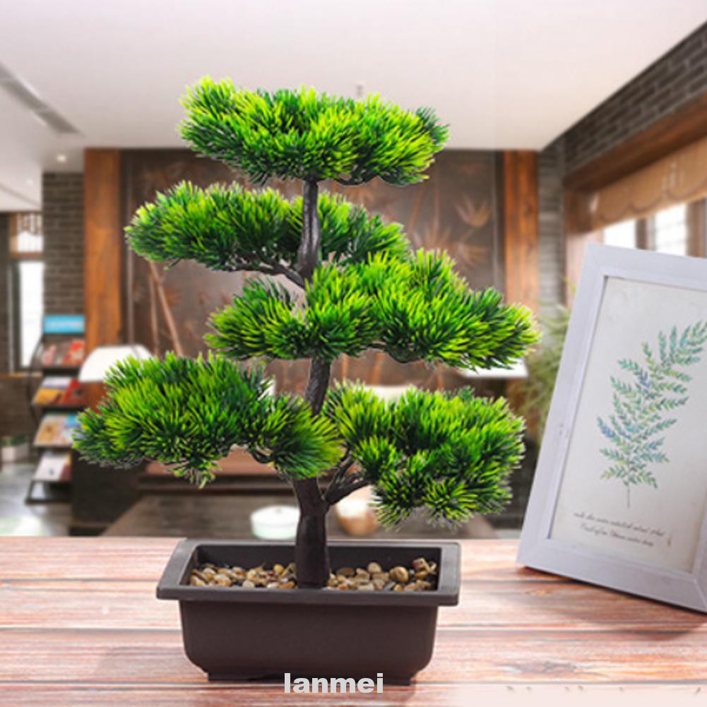 Cây Bonsai Giả Trang Trí Văn Phòng