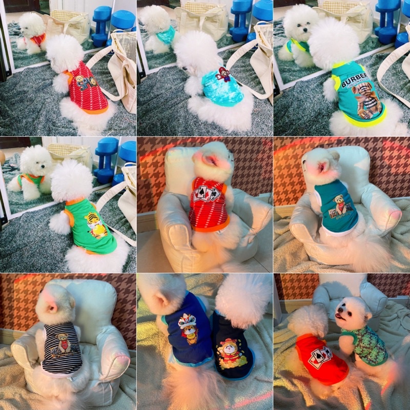 Áo cho chó mèo thú cưng CARAPTES Trang phục cún cưng nhỏ