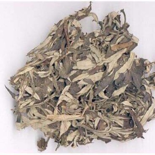 Cây ngải cứu khô
