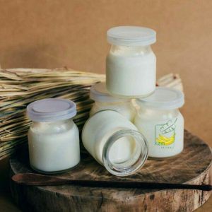 Hủ yaourt (1 lố 12 cái) nắp nhựa trắng