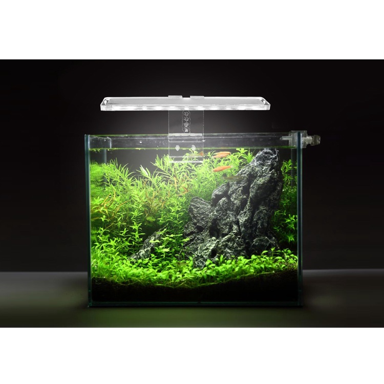 Đèn LED mini Tiết Kiệm Năng Lượng Cho Bể Cá Cảnh