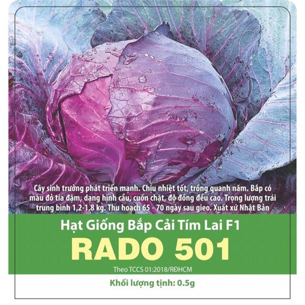 Hạt giống bắp cải tím lai F1 - rau củ quả chịu nhiệt 4 mùa trồng chậu ban công ngon nảy mầm cao 0.5gr RADO 501