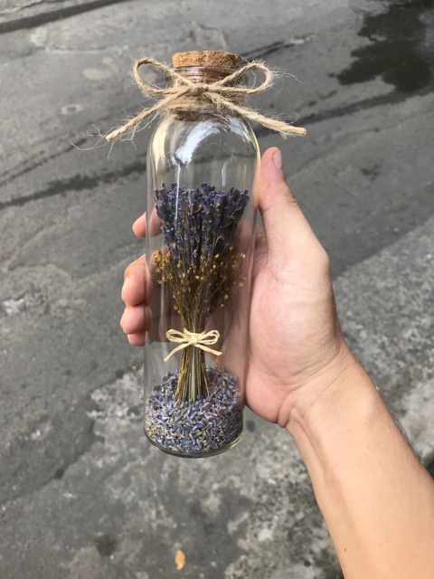 Chai thuỷ tinh hoa lavender, lọ hoa lavender khô | BigBuy360 - bigbuy360.vn