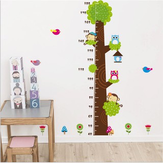 Decal thước đo cú mèo
