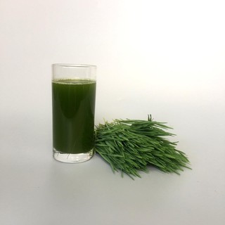 100g bột cỏ lúa mỳ oganic