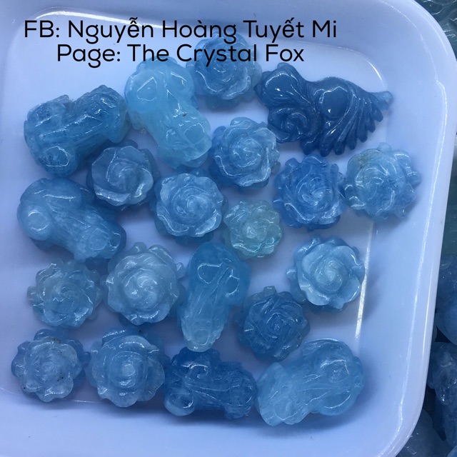 Hoa mẫu đơn đá Aquamarine