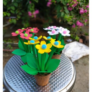 Chậu hoa mini để bàn