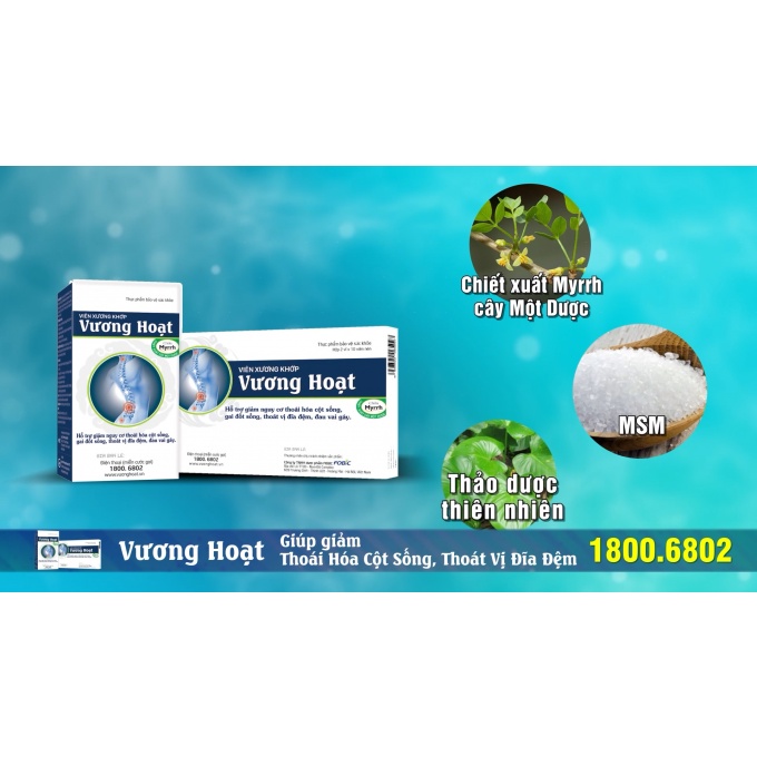 Viên xương khớp Vương Hoạt  -hỗ trợ thoái hóa cột sống, gai cột sống, thoát vị đĩa đệm, đau gay