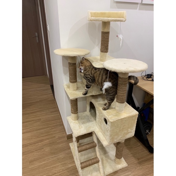 Cattree cho mèo