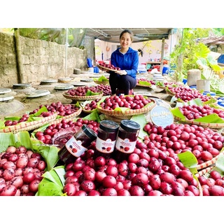 Tặng kèm 500ml nước ép cốt ba trăng không bã -cốt ba trăng trứng gà hạ thổ