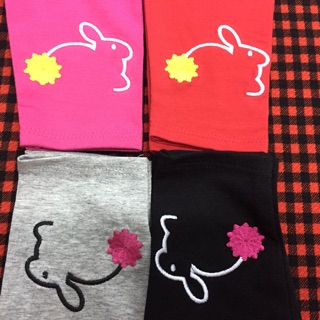 Combo 3 quần legging 