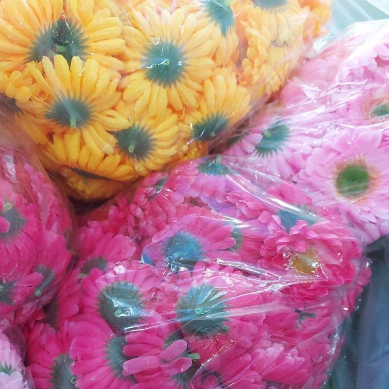 ĐẦU BÔNG CÚC CHÉN .DÙNG CẮM BÌNH .CẮM GIỎ .CẮM KỆ.CẮM CỔNG CƯỚI