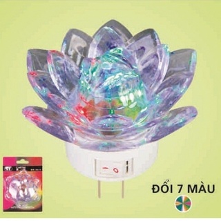 ĐÈN NGỦ HOA SEN NHIỀU MÀU