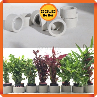 Vòng gốm cố định cây thủy sinh - Giúp cố định cây cắt cắm, rêu, ráy, dương xỉ, bucep thuỷ sinh