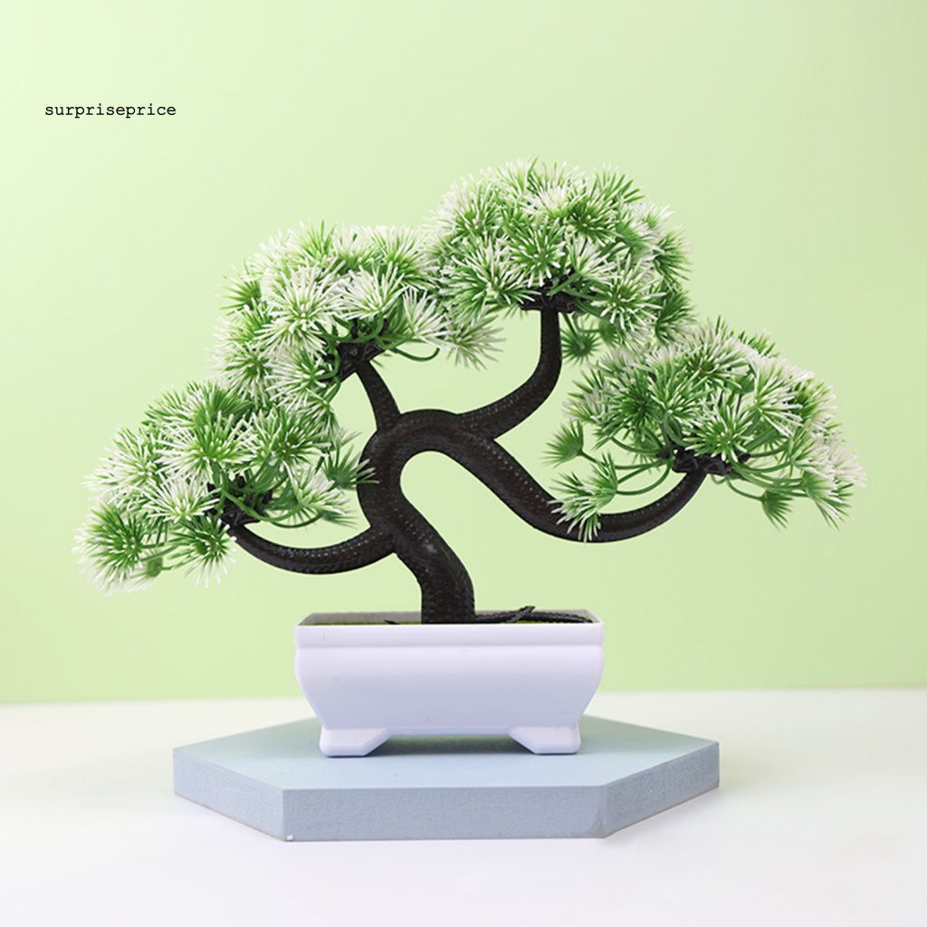 Chậu Cây Bonsai Giả Trang Trí