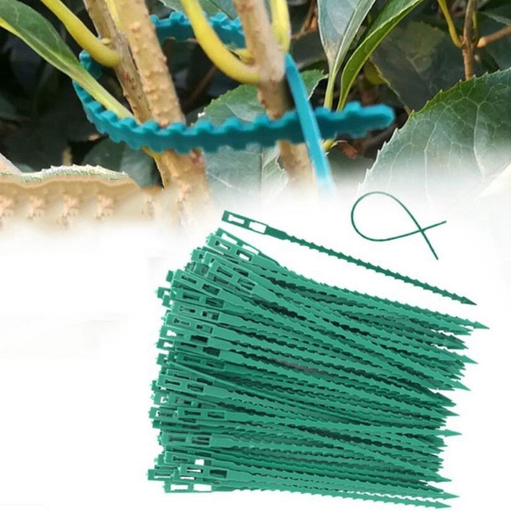 Set 50 / 100 Dây Rút Trồng Cây Xương Cá Có Thể Điều Chỉnh