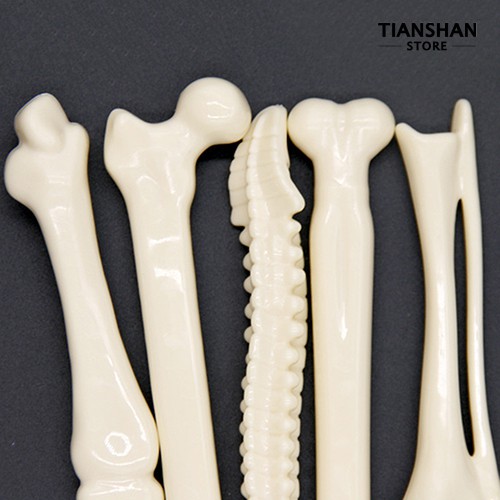 Bút bi thiết kế xương người độc đáo sáng tạo
