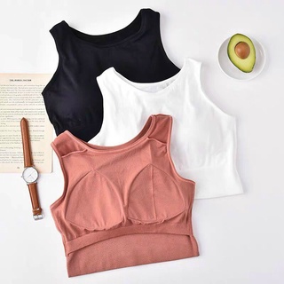 Áo Bra Croptop Ba Lỗ Trơn Có Mút