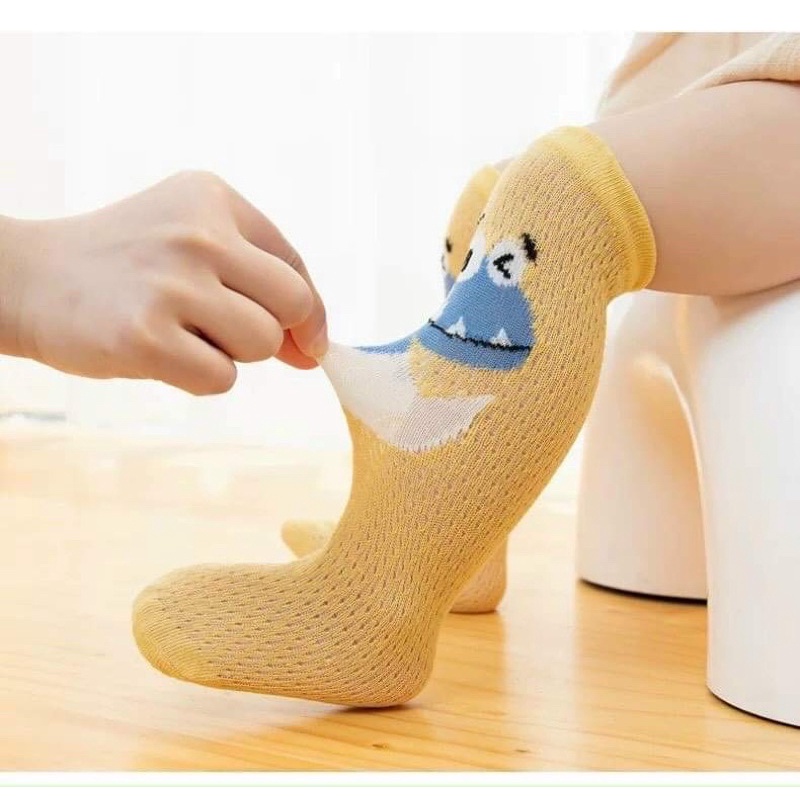 Vớ cao cổ, tất lưới cao cổ