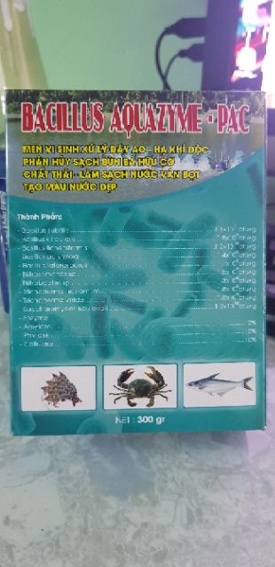 Men vi sinh bacilus aquazyme - pac