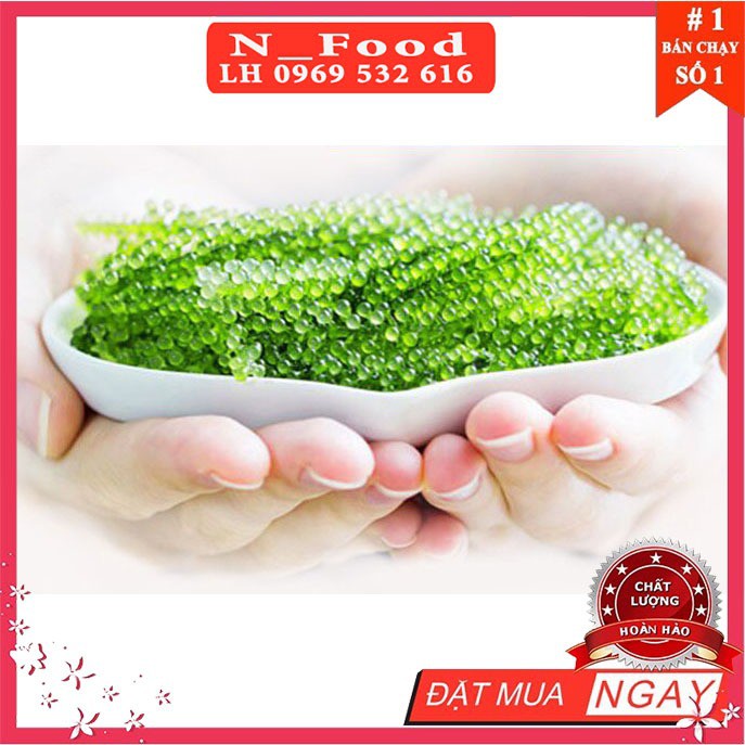 Seaweed_Store