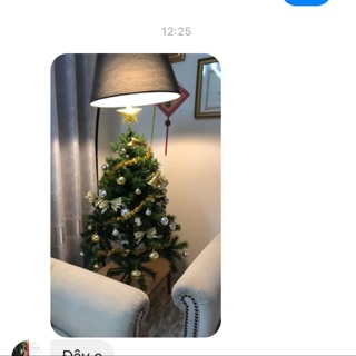 Cây thông Việt nam 1,2m - hàng chân sắt