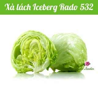 Hạt giống Xà Lách Giòn Iceberg 532 gói 2gr - Chịu nhiệt