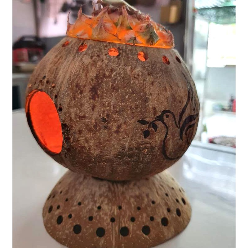 Đèn xông hương tinh dầu, trái cây tự nhiên giá xưởng tốt | CocoDecor