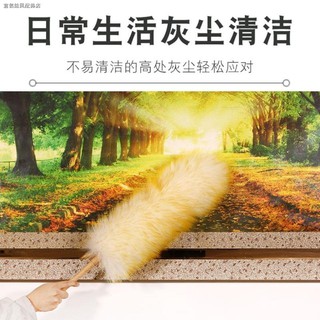 Chổi lông gà phủi bụi