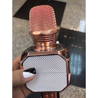 Mic kèm loa hát karaoke SD-10  Bluetooth