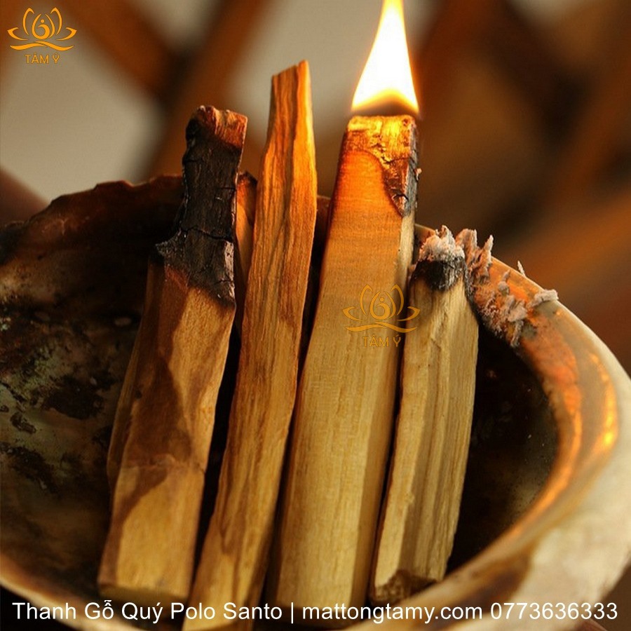 Thanh Gỗ Và Nụ Bột Gỗ Palo Santo