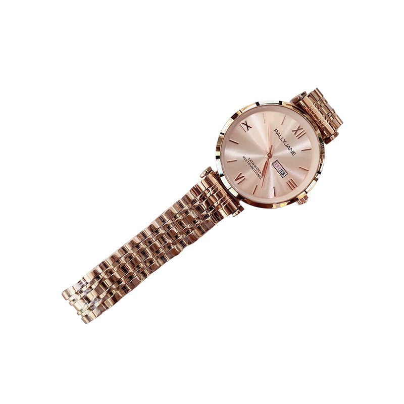 New Boutique Steel Watch Women's Supplying Women's Watch Temperament Wild Personality Watches Wholesale