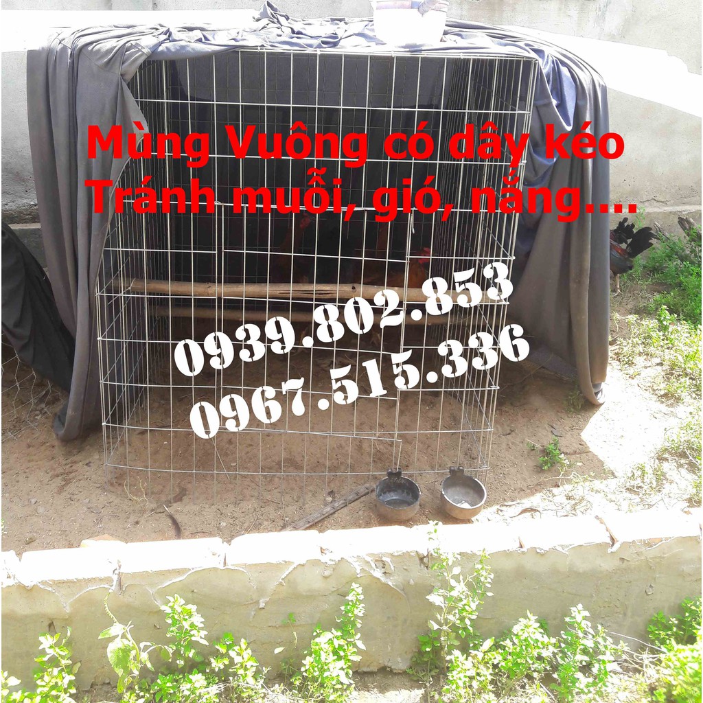 Mùng gà vuông kích thước 1mx1mx1,2m | Mùng vuông có dây kéo giá rẻ | Mùng gà nòi cho bội vuông | Màn vuông có dây kéo