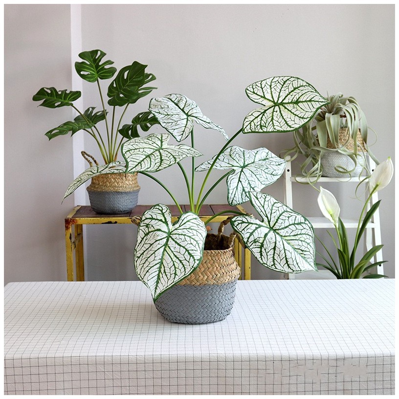 Monstera Lá Xanh Nhân Tạo Trang Trí Nhà Cửa cây hoa giả trang trí nhà cây giả