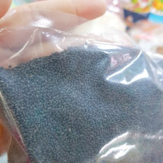 HẠT É QUẾ MAI - 1KG