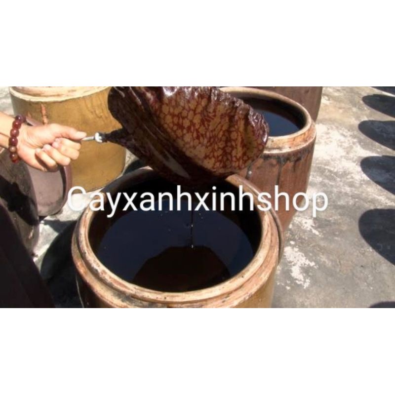 Nước tương chùa đặc sản Sadec