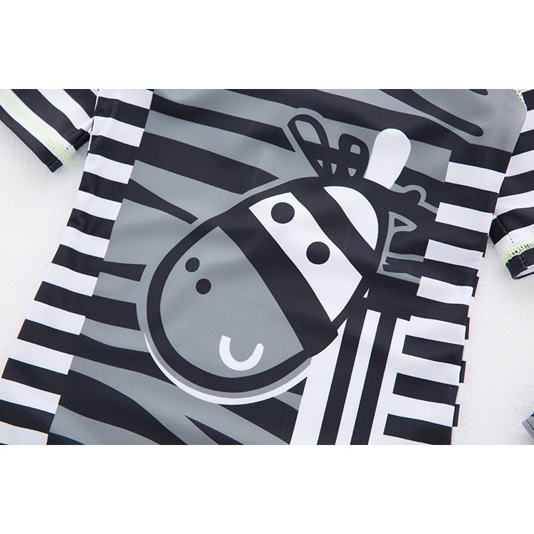 H00120 Bơi ngựa vằn | BigBuy360 - bigbuy360.vn