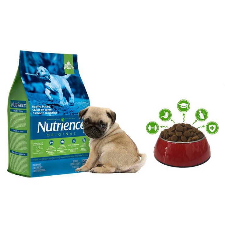 Thức ăn cho chó nutriience