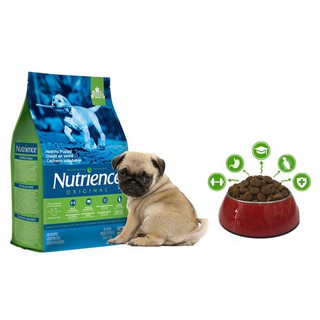 Thức ăn cho chó nutriience