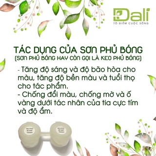 Sơn phủ bóng