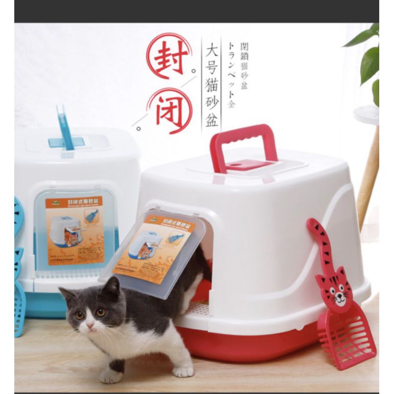 Nhà vệ sinh cho mèo