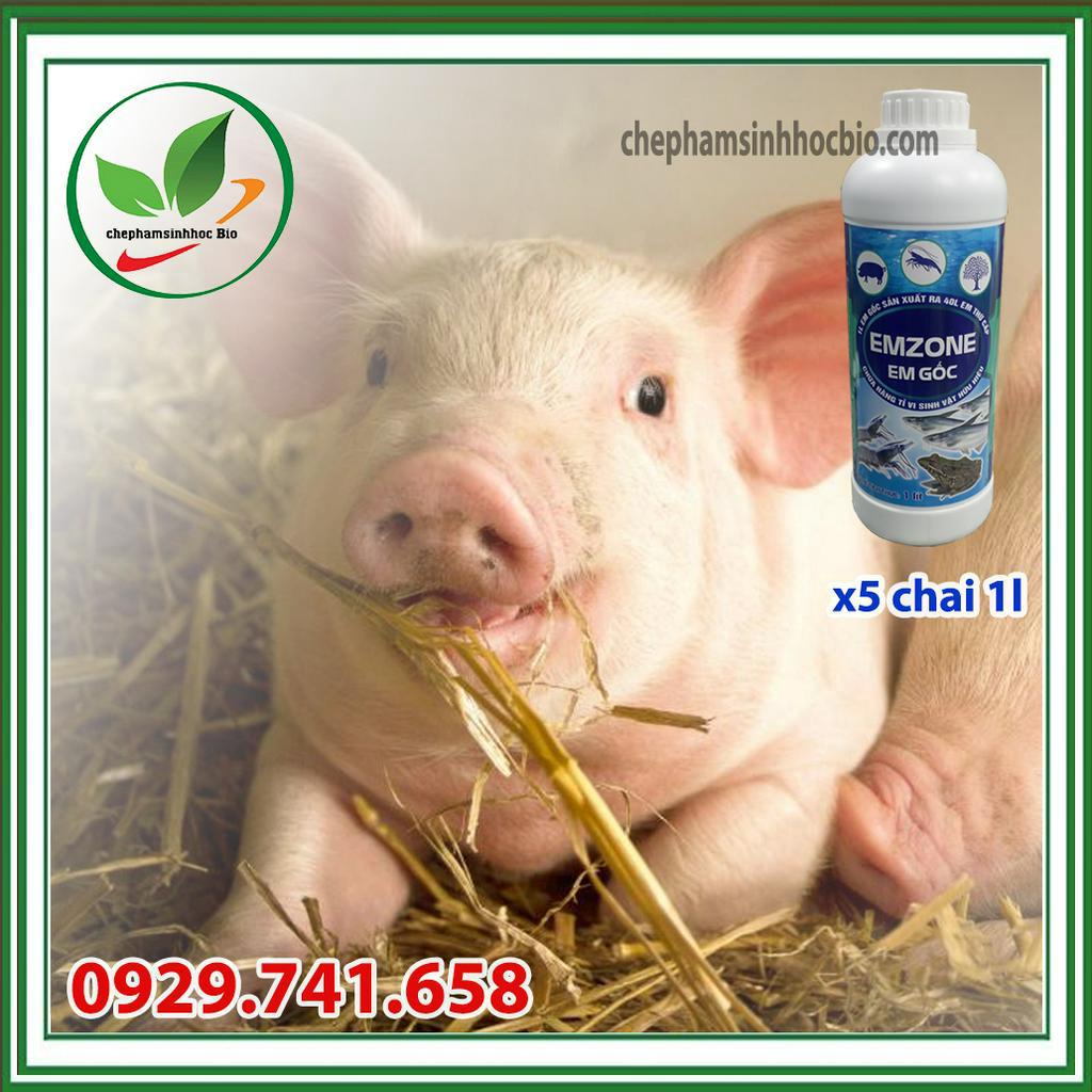 combo 5 chai EM Gốc 1 Lít Chế phẩm sinh học EM gốc - Emzone. Can 1l