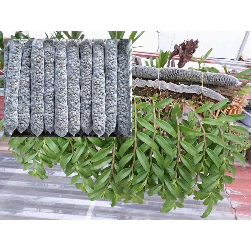 Phân dê túi lưới bón cho lan 20cm và cây cảnh HT Green