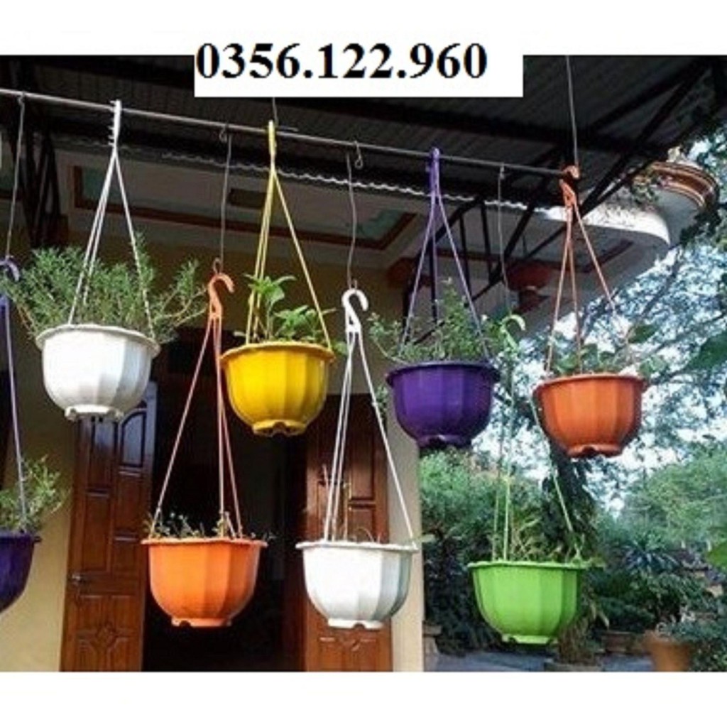 Bộ 15 chậu trồng hoa có móc treo hình bí ngô - Size 22 x16 cm + Tặng  phân hữu cơ cao cấp