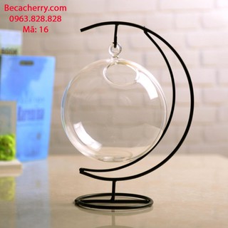 Bể Cá Mini Cung Trăng 16 Cỡ To ( Tặng kèm combo phụ kiện trang trí )