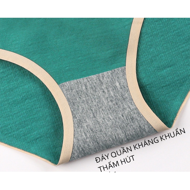 Quần lót nữ cotton hình mèo BRALUNE, quần chíp nữ kháng khuẩn trơn đáng yêu mã 132