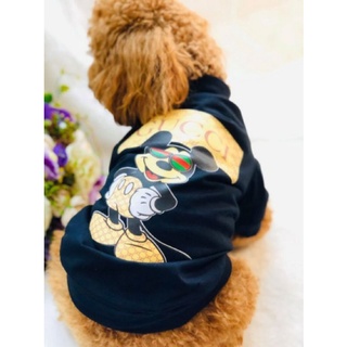 Áo thun gucci/chuột mickey cho chó mèo